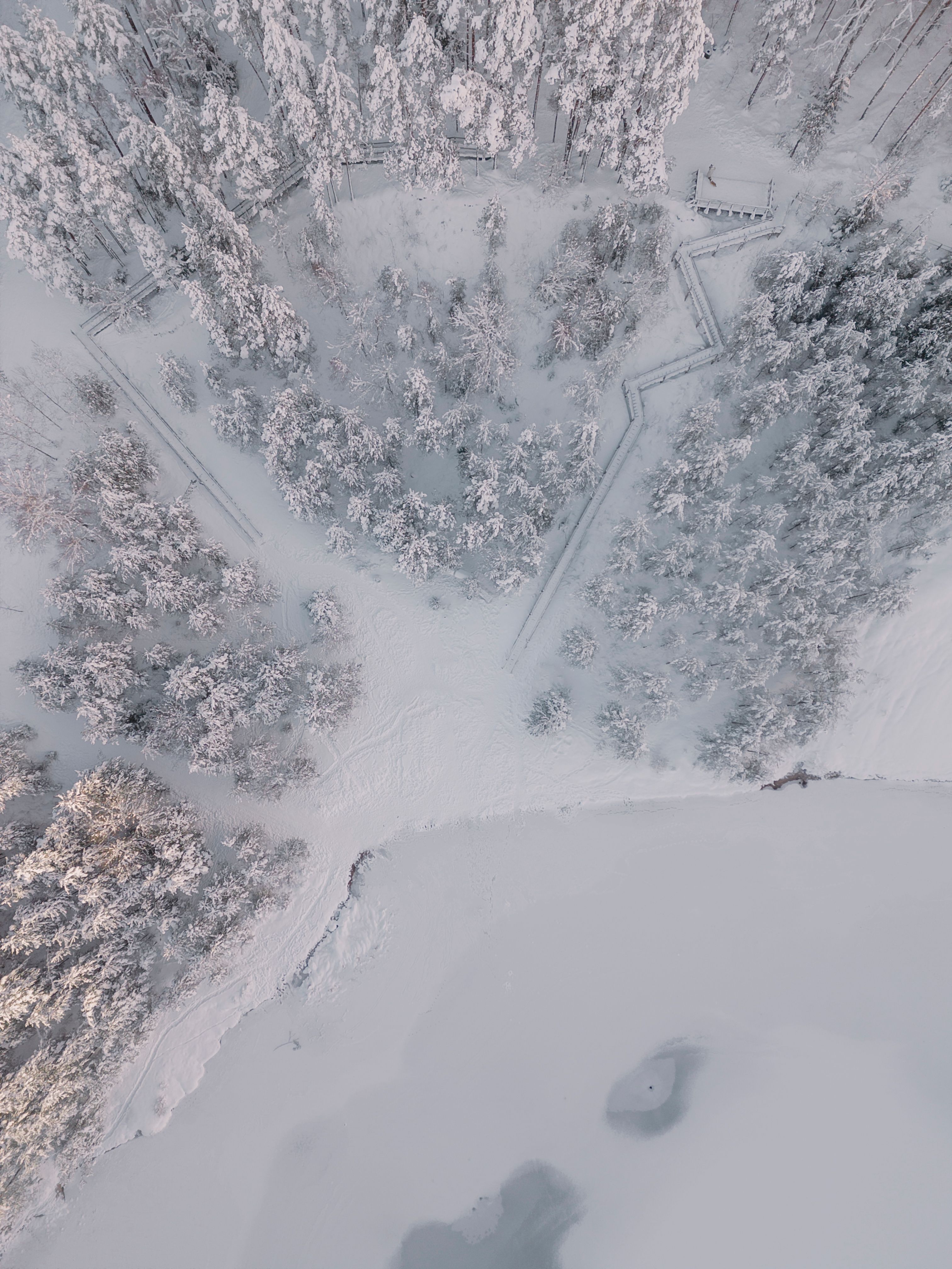 Aerial View of a Winter Landscape of a Forest and Frozen Lake · Free ...