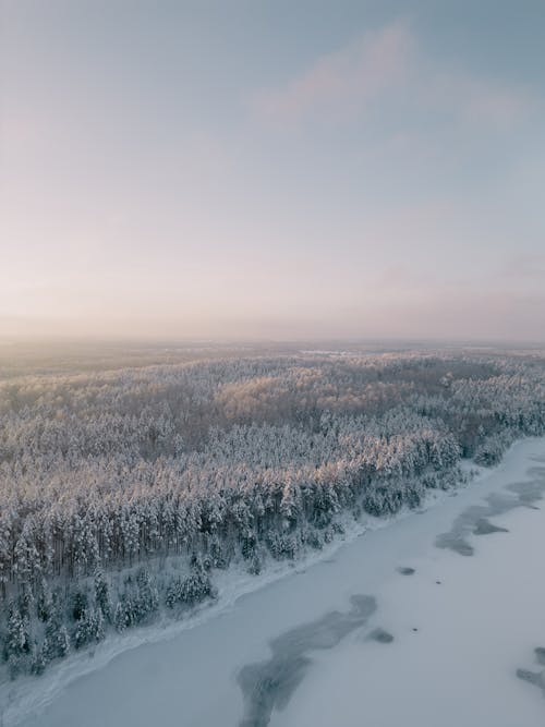 Birds Eye View of a Frozen Lake and a Forest in Winter snow 
