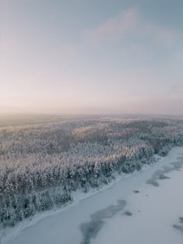Aerial view of a snow-covered forest and frozen lake during winter in Latvia.