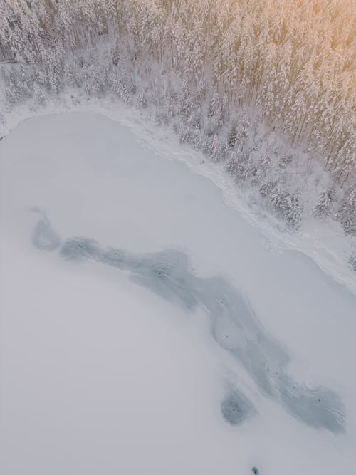 Drone Shot of a Frozen Lake and a Forest in Winter 