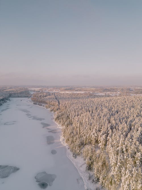 High Angle View of a Frozen Lake and a Forest in Winter 