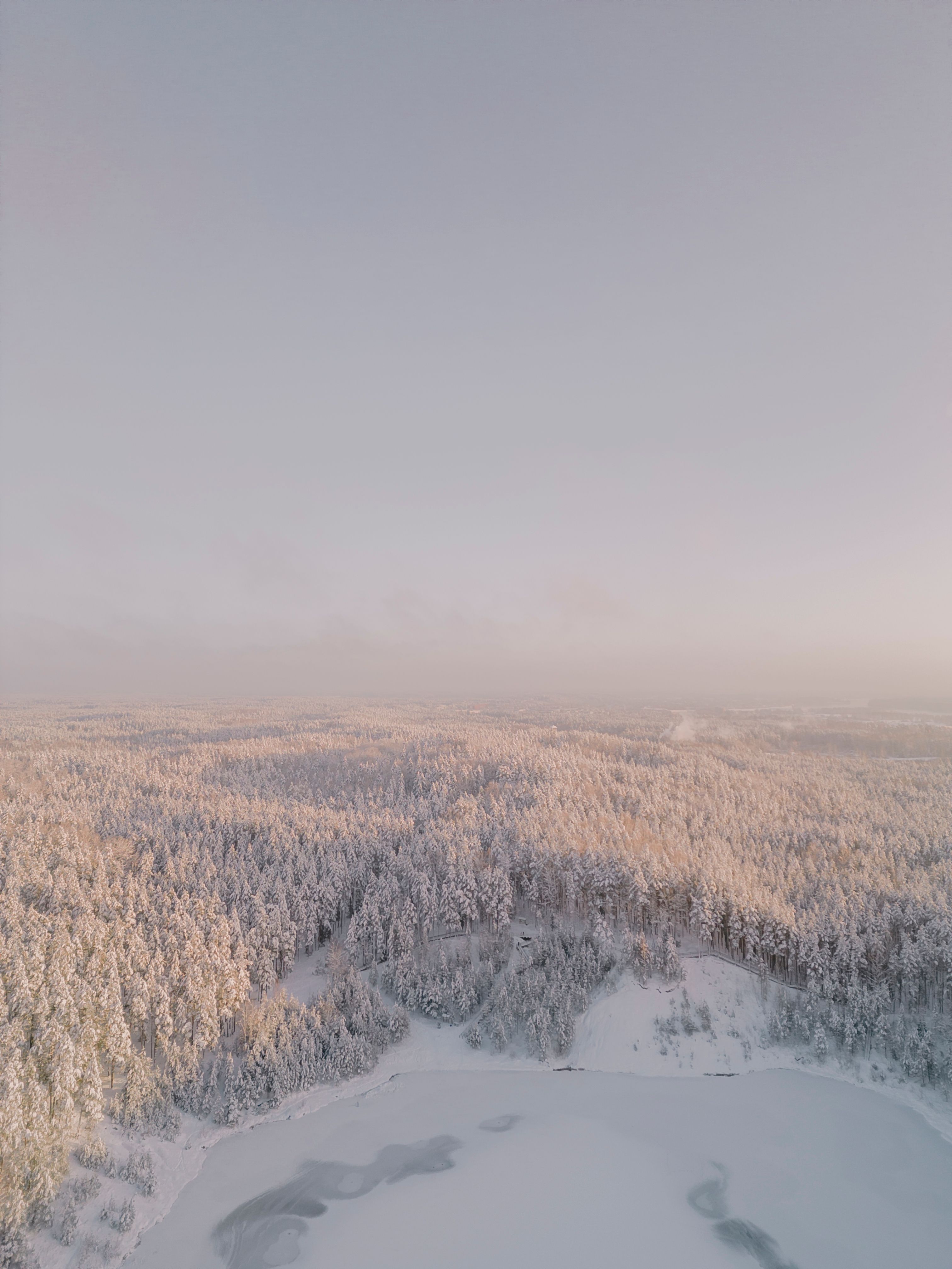 Aerial Photography of a Frozen Lake and a Forest in Winter · Free Stock ...