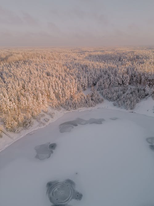 Birds Eye View of a Frozen Lake and a Winter Forest 