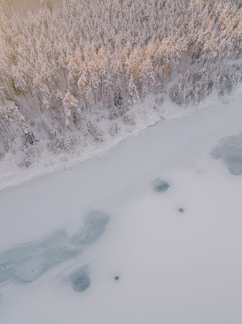 Aerial Photography of a Frozen Lake and a Forest in Winter 