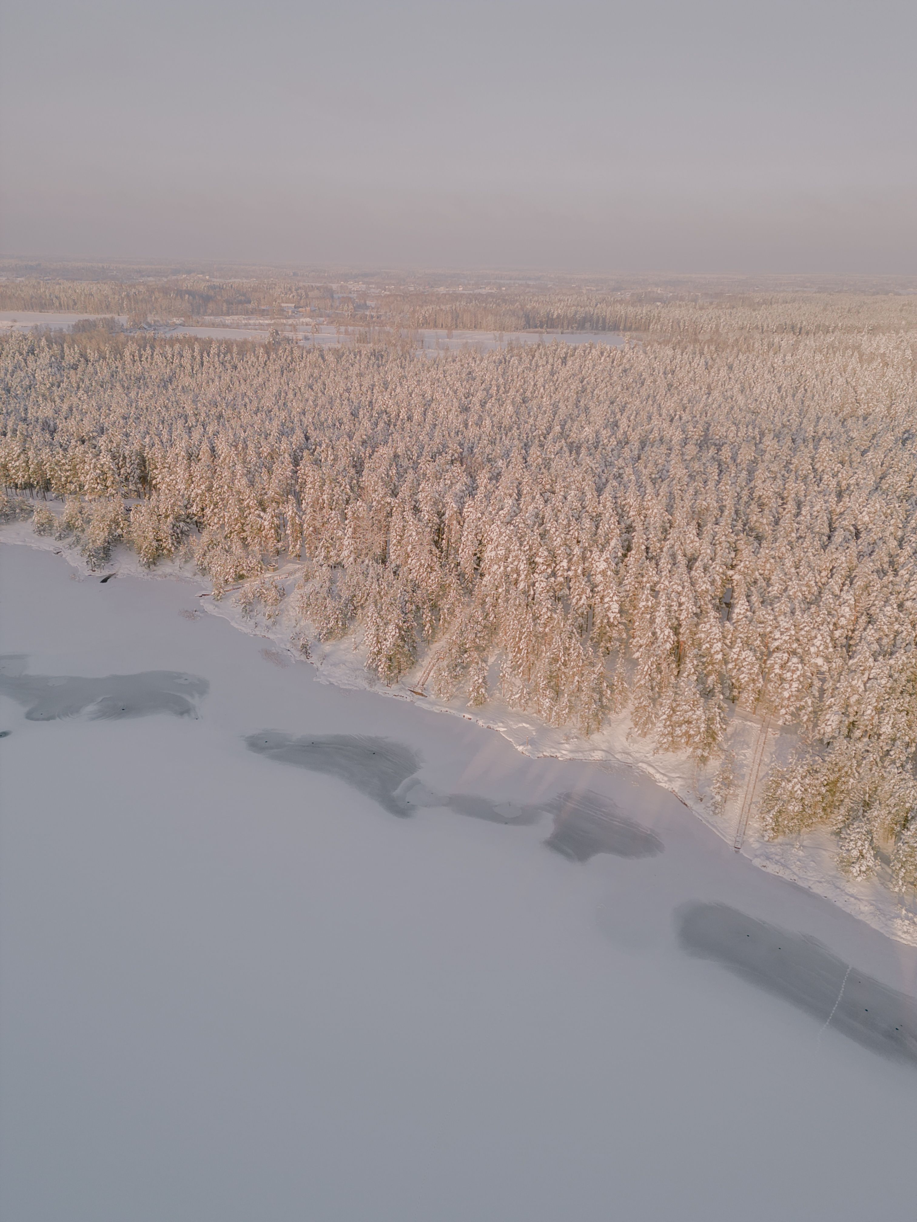 Drone Shot of a Frozen Lake and a Forest in Winter · Free Stock Photo