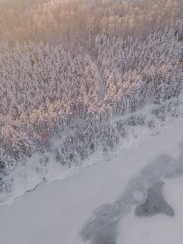 Aerial view of a snowy forest and frozen river in winter, highlighting natural beauty.