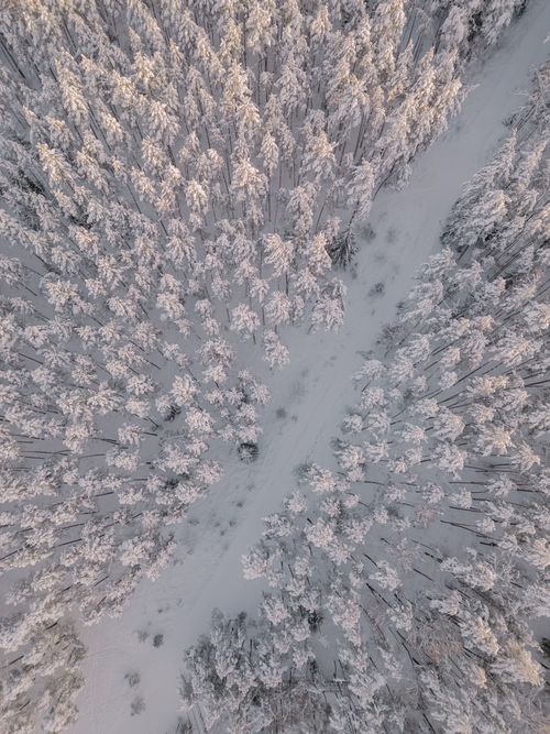 Free A high angle aerial view of a snow-covered forest landscape in Ogre, Latvia, showcasing serene winter beauty. Stock Photo
