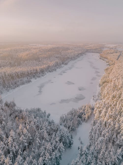 Aerial View of a Winter Landscape of a Forest and Frozen Lake