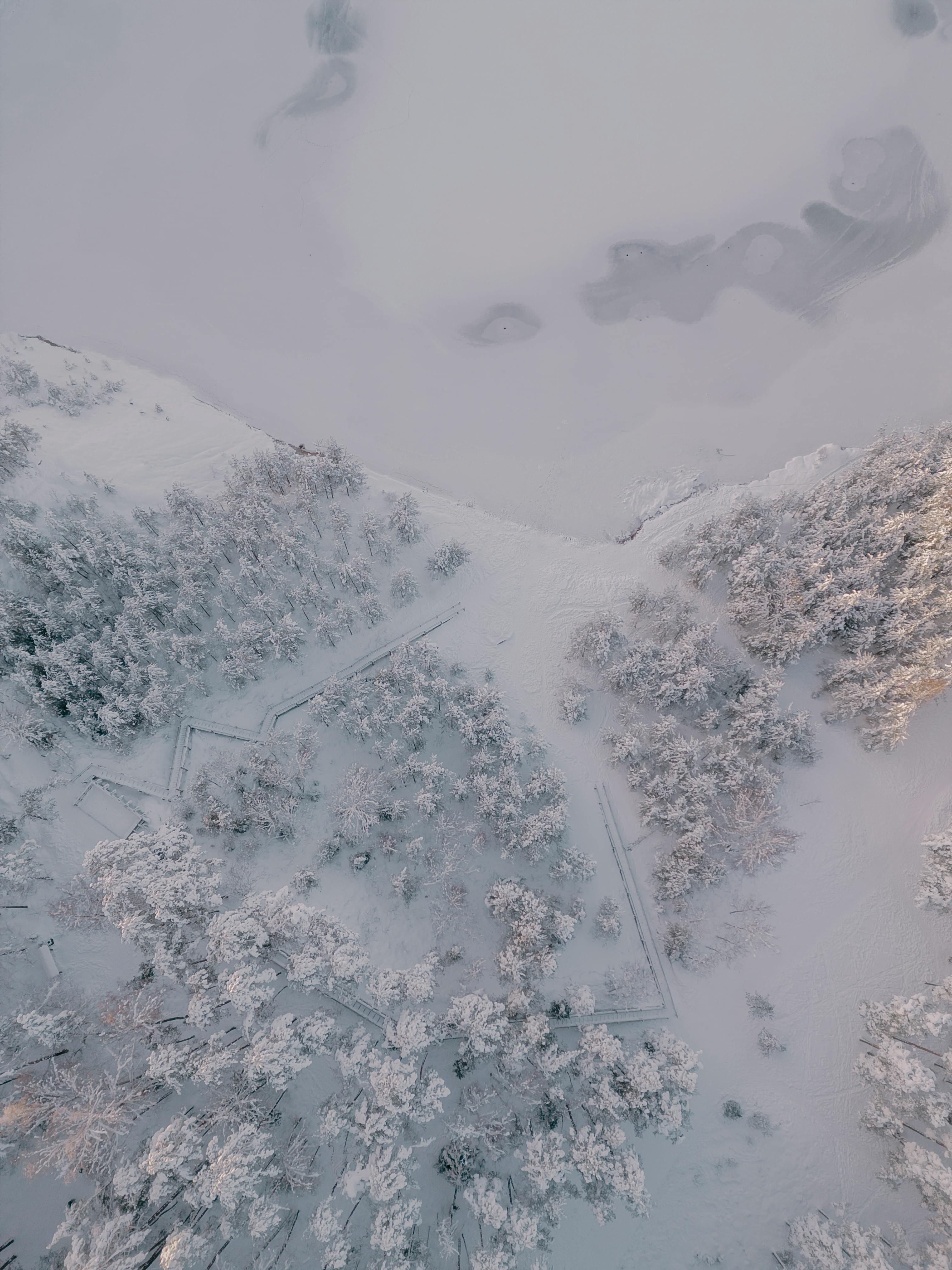 A stunning aerial view of a snow-covered forest and frozen lake in winter, showcasing nature's serene beauty in Ogre, Latvia.