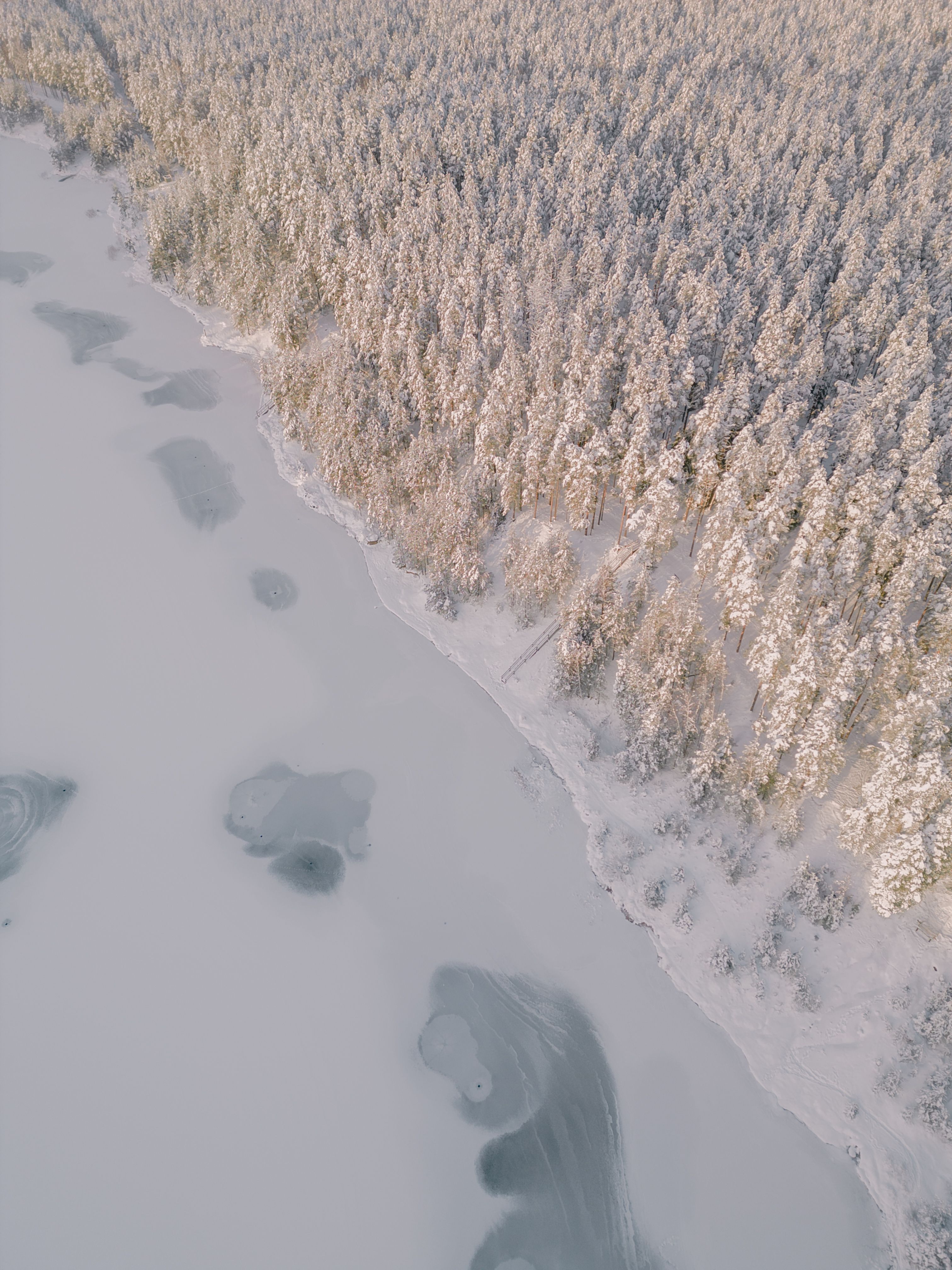 Aerial View of a Winter Landscape of a Forest and Frozen Lake · Free ...