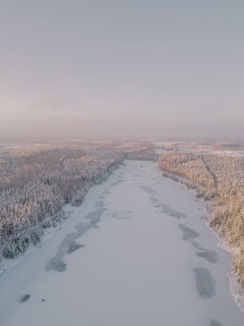 Aerial View of a Winter Landscape of a Forest and Frozen Lake 