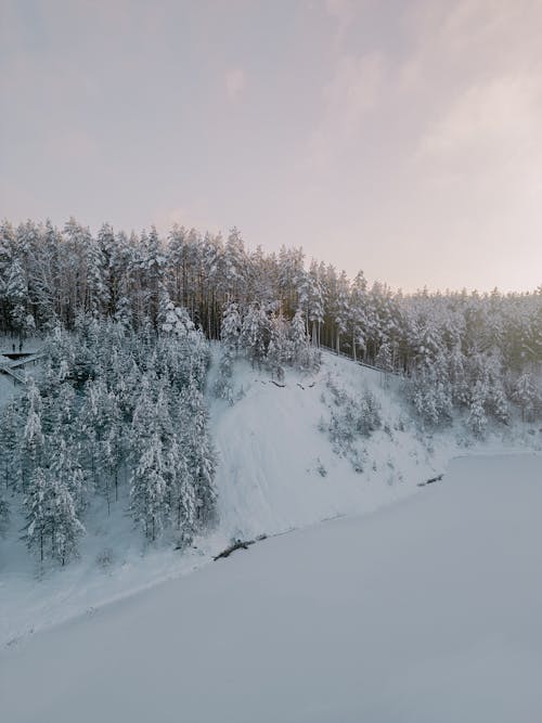 Aerial View of a Winter Landscape of a Forest and Frozen Lake 