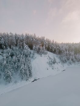 A serene aerial view of a snow-covered forest in Ogre, Latvia, during winter.