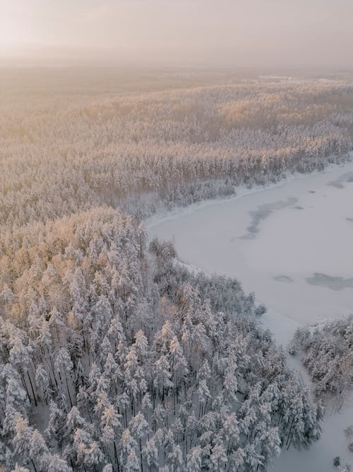 Aerial View of a Winter Landscape of a Forest and Frozen Lake 