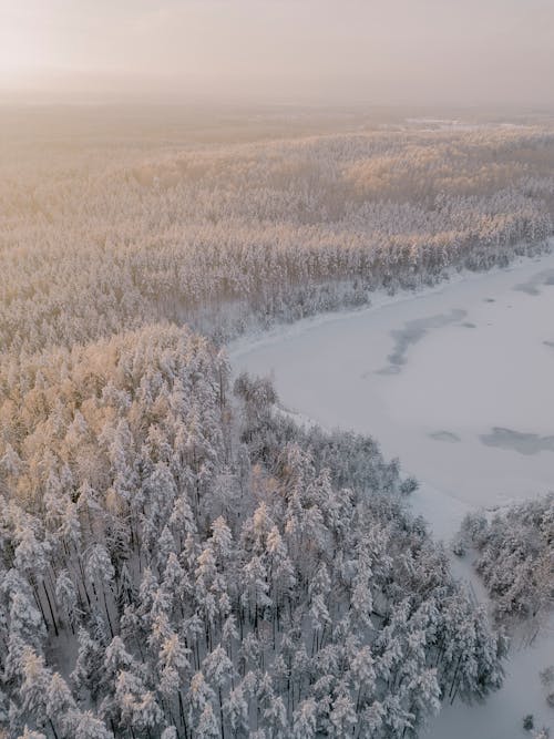 Kostenloses Stock Foto zu bäume, drohne erschossen, eis