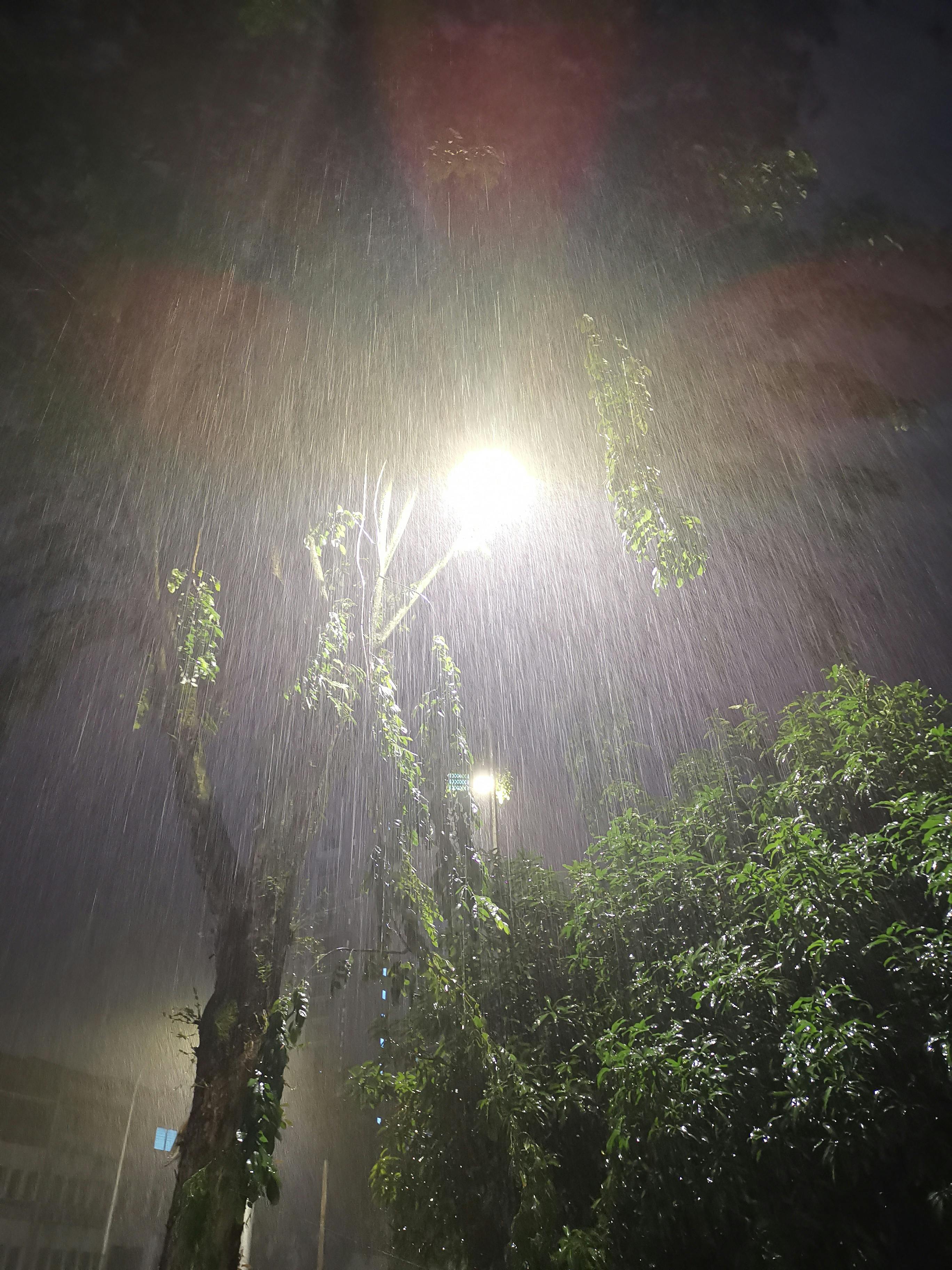 Free stock photo of rain, raining, street light