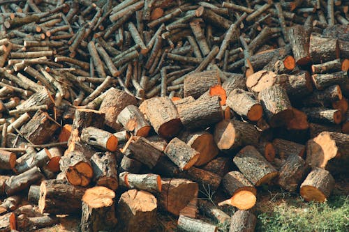 Imagine de stoc gratuită din acțiuni, cherestea, lemne de foc