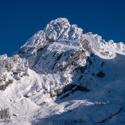 Foto d'estoc gratuïta de blanc, constipat, hivern