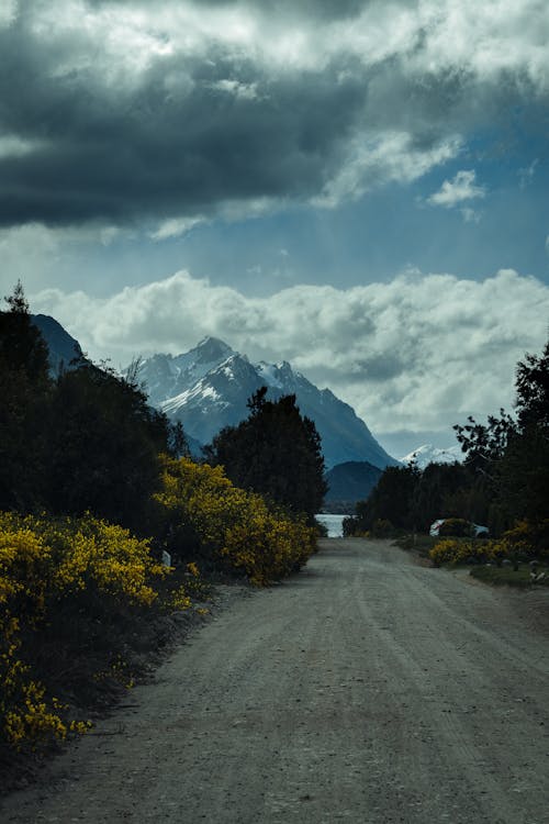 View of a Road between Trees and Shrubs and Mountains in the Background 