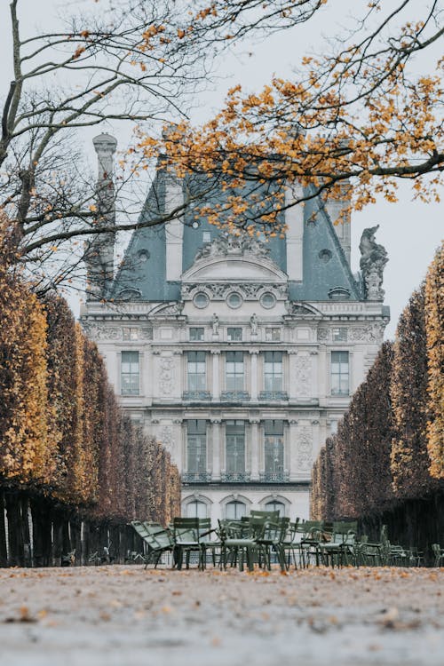 Autumn in Tuileries Garden