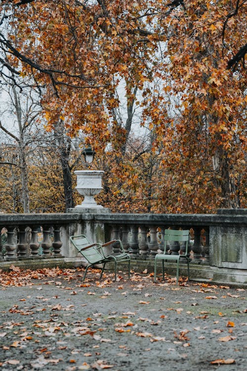 Chairs Standing on a Palace Terrace near Autumnal Trees 