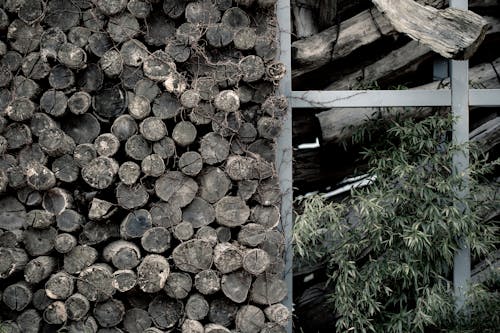 Foto profissional grátis de armazenamento, bruto, madeira de lei