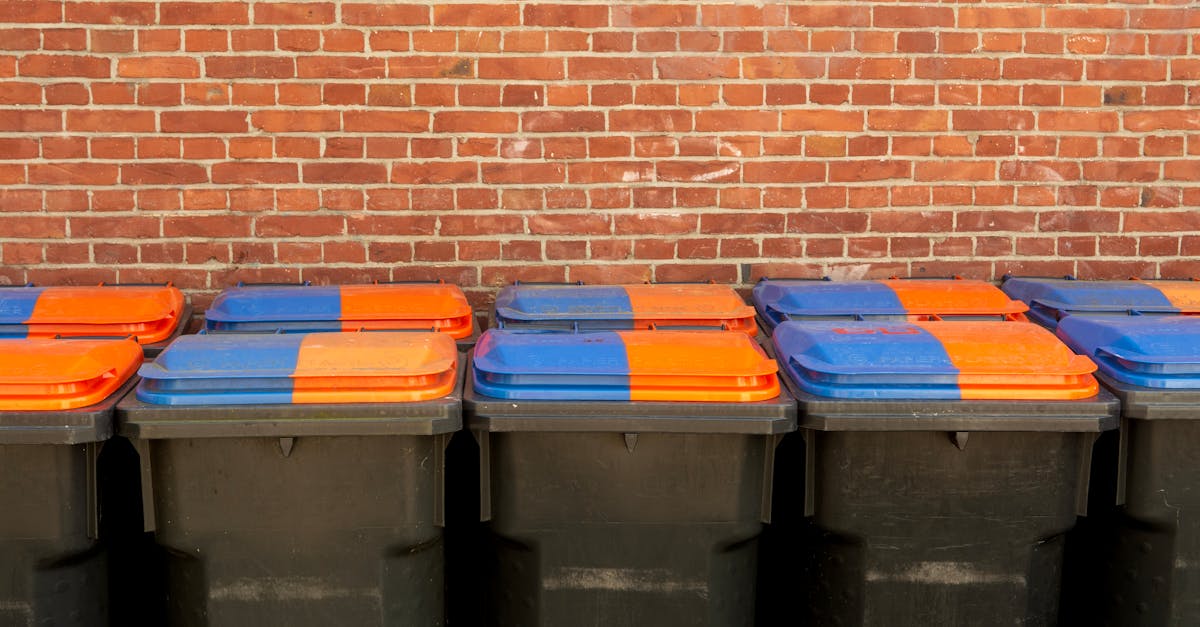 Residential Trash Bin Cleaning 