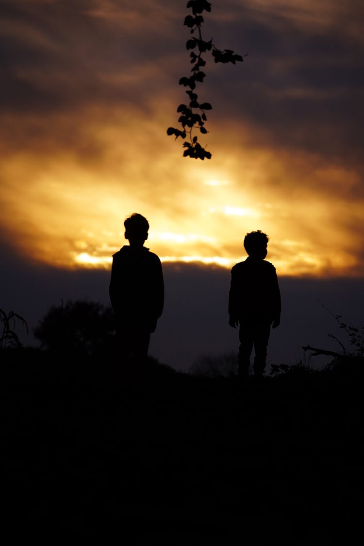 Silhouettes Of Small Boys Looking At The Sunset