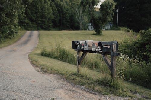 Gratis stockfoto met bomen, containers, dozen