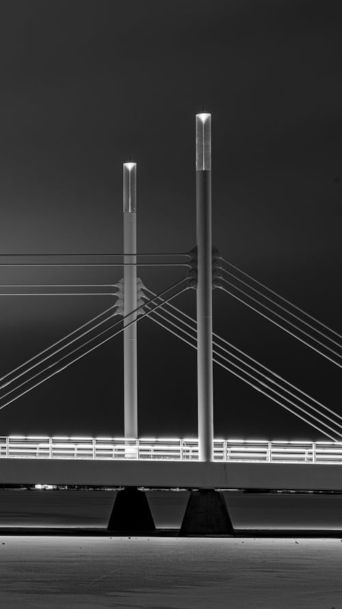 吊橋, 單色, 垂直拍攝 的 免費圖庫相片
