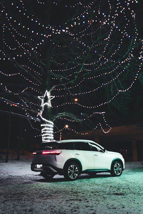 A Car by a Christmas Decoration 