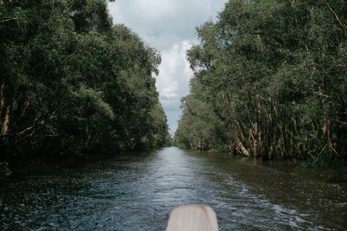 Free Tranquil river view framed by dense forest greenery under a cloudy sky. Stock Photo