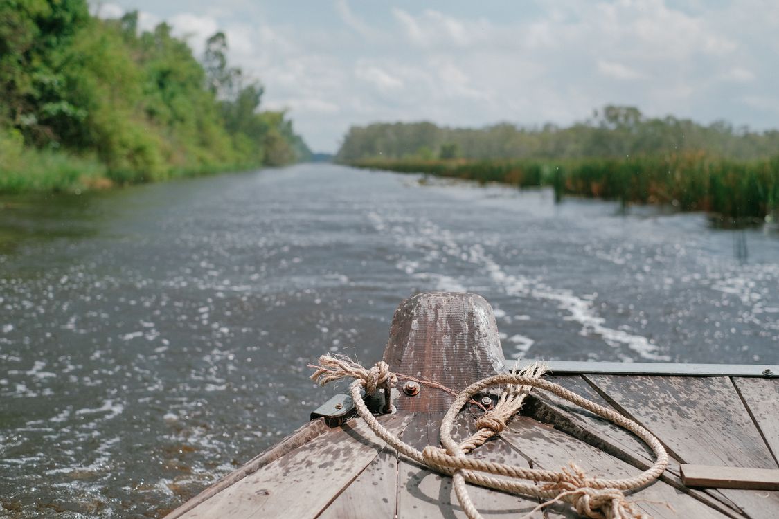 River Reeds Rope Rope on Boat on River · Free Stock Photo