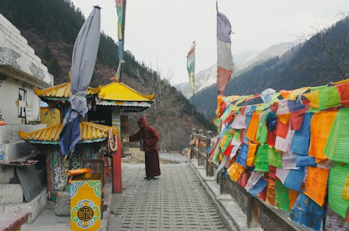 Ilmainen kuvapankkikuva tunnisteilla buddha, buddhalaisuus, munkki