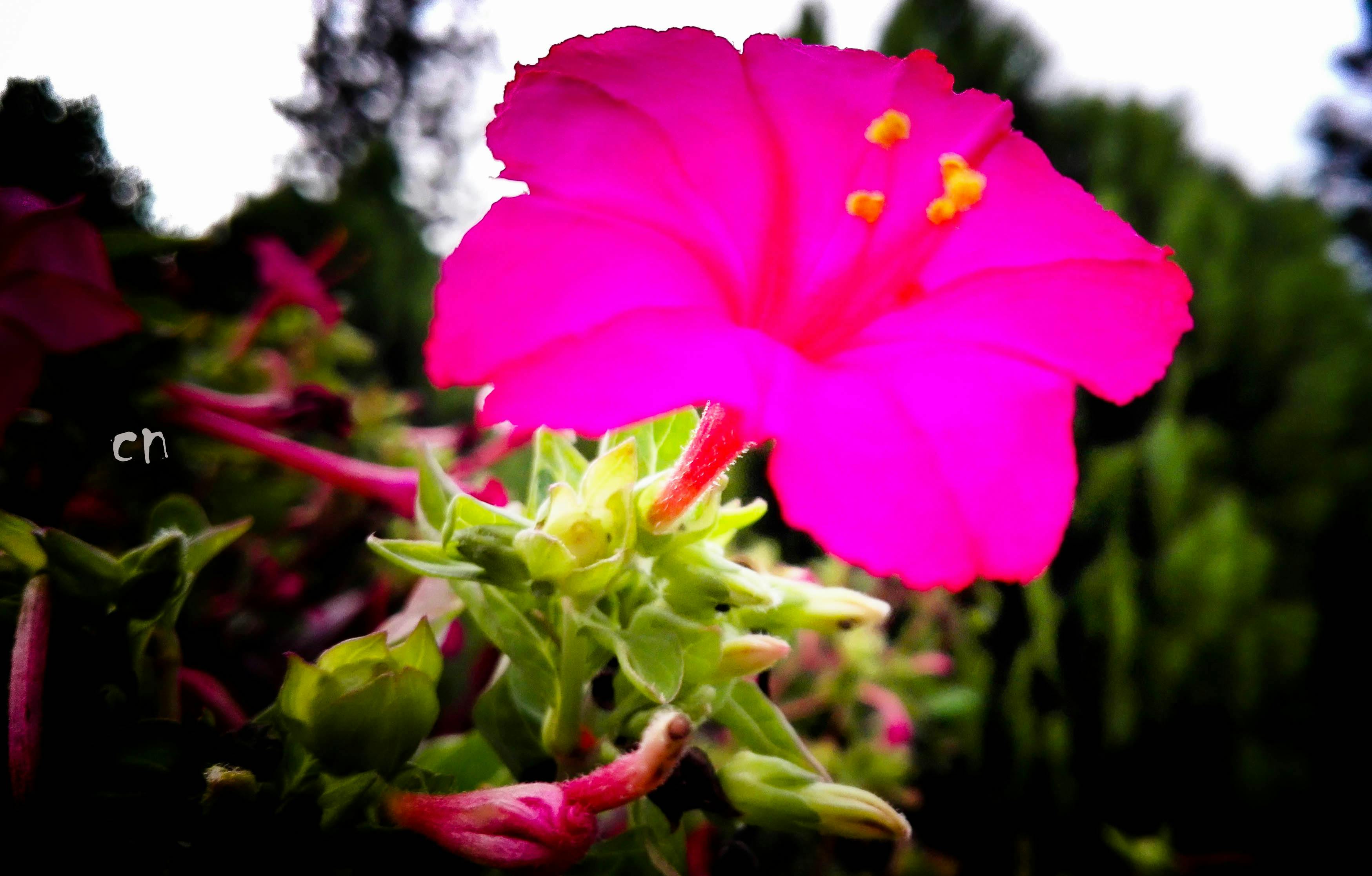 Imagenes Bonitas De Paisajes Imagenes Bonitas De Paisajes