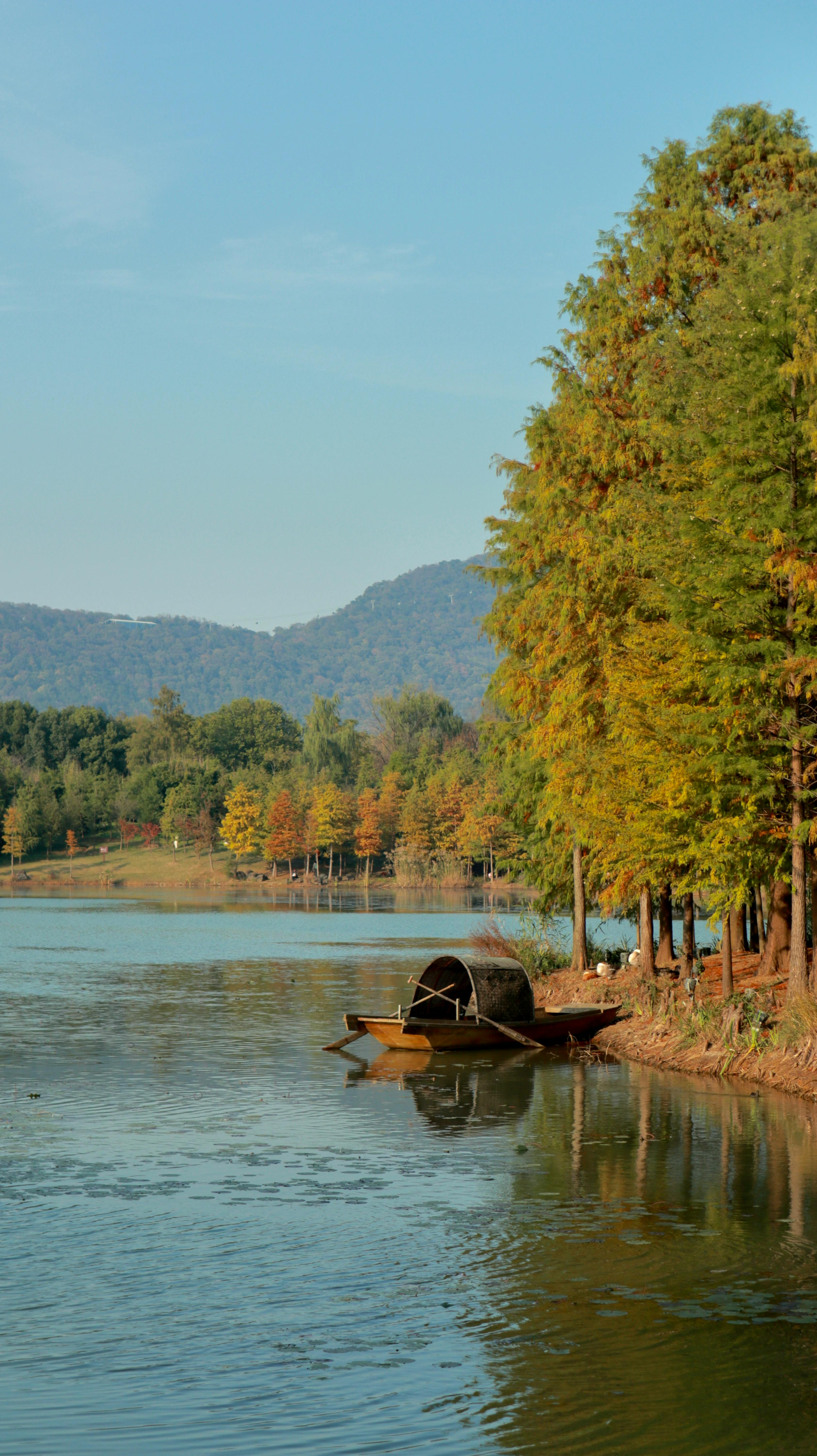 Tranquil river view with a rustic boat and forest in autumn.