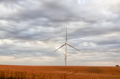 South Dakota Farmlands