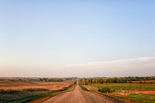 South Dakota Farmlands