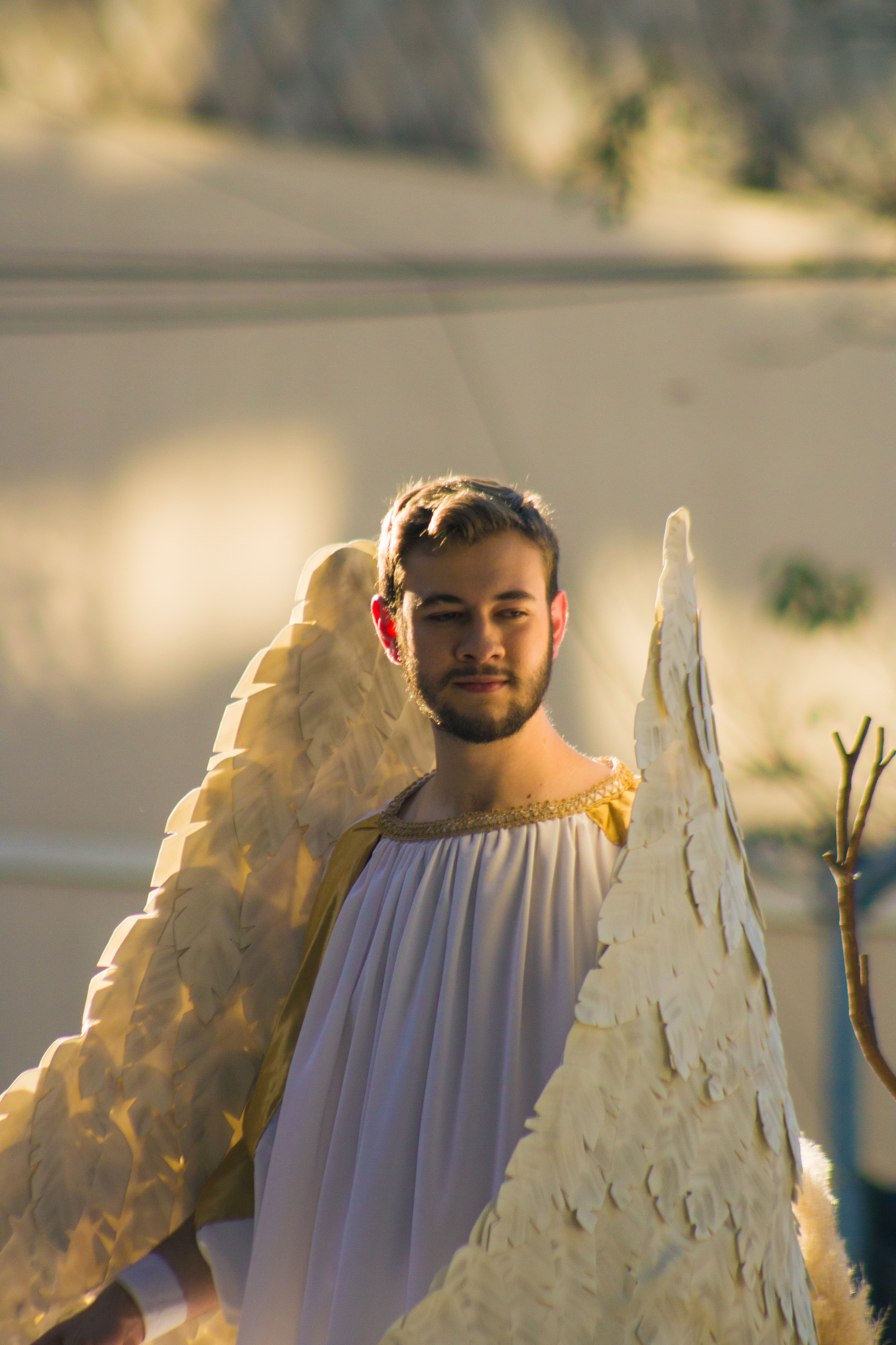 Portrait of a man standing outdoors dressed as an angel with large wings.