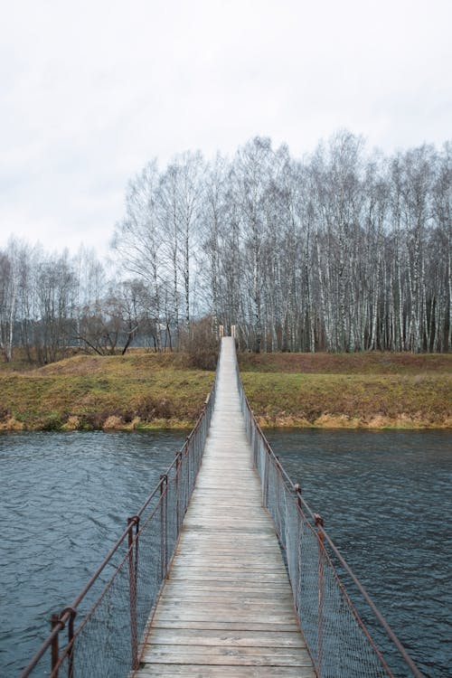 Gratis stockfoto met bomen, brug, bruggen