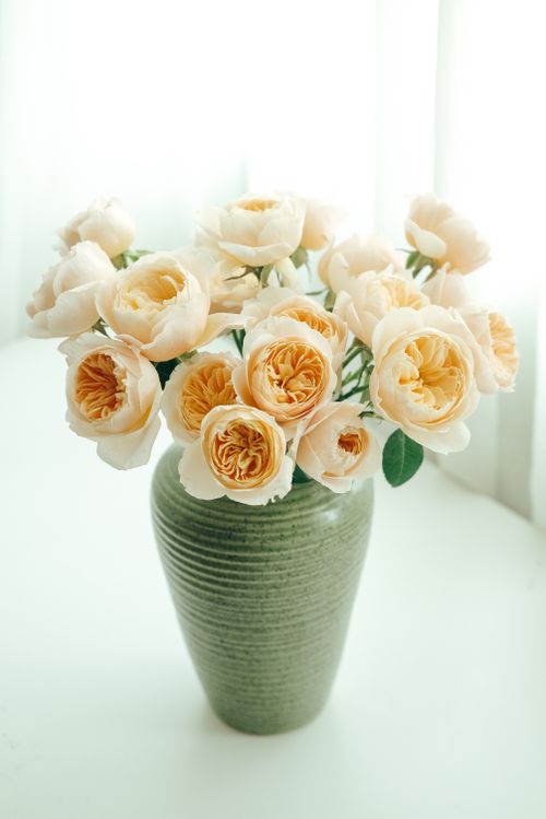 Free A bouquet of cream-colored roses beautifully arranged in a green vase against a bright white background. Stock Photo