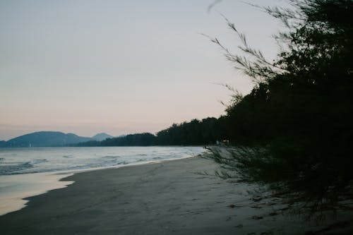 Waves on a Beach in the Evening 