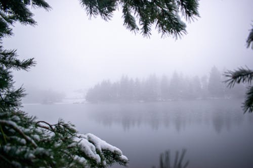 人造雪, 冬天好玩, 冬天的背景 的 免費圖庫相片