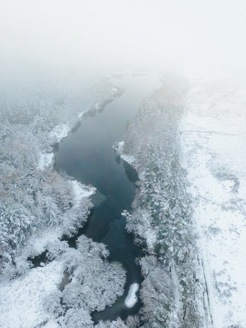 Kostenloses Stock Foto zu bäume, drohne erschossen, fluss