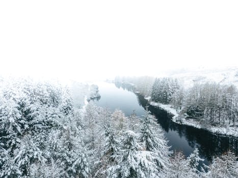 Breathtaking drone shot of a winter forest with snow-covered trees and a serene lake.