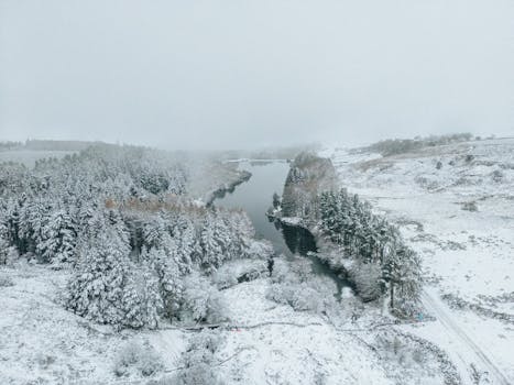 Aerial view of a serene snowy landscape with forest and lake during winter.