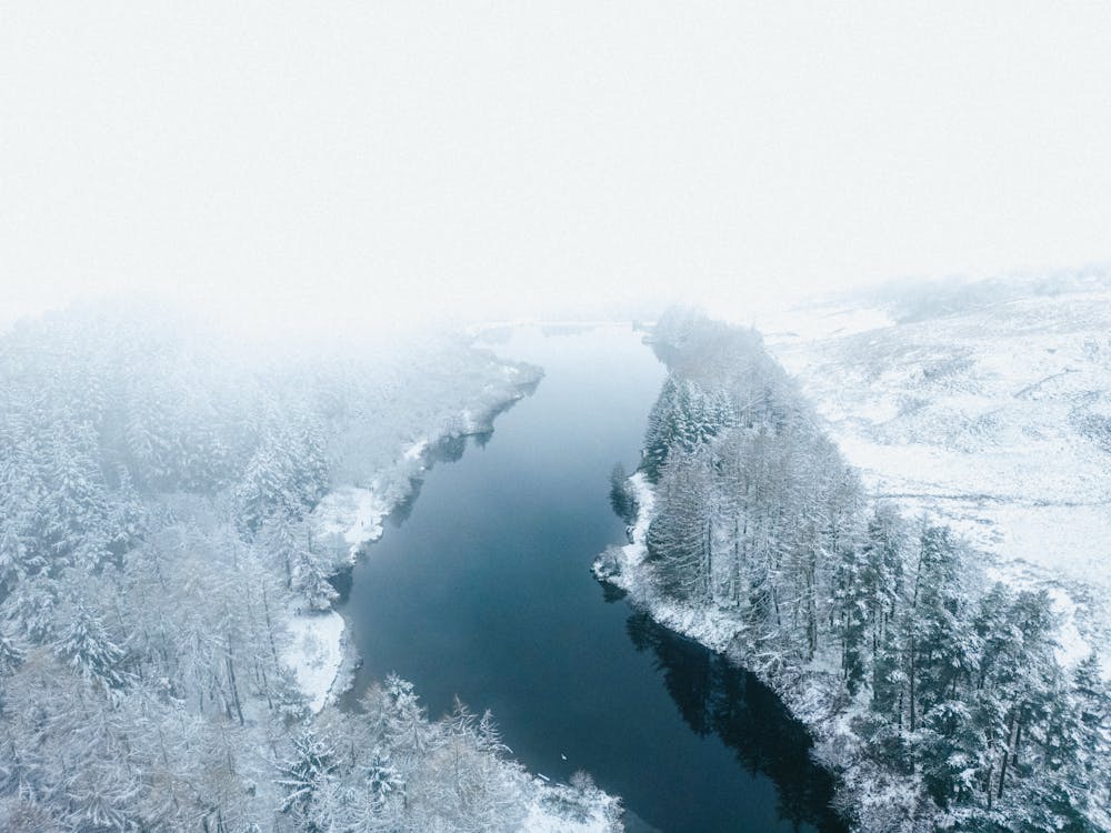 Aerial View of a River and Trees Covered in Snow 