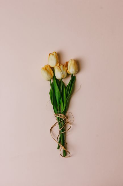 A stylish bouquet of yellow tulips tied with twine on a pastel background, perfect for decor.