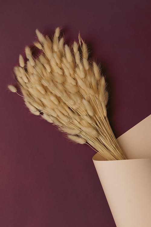 A Bunch of Dried Grass Lying on Dark Background 