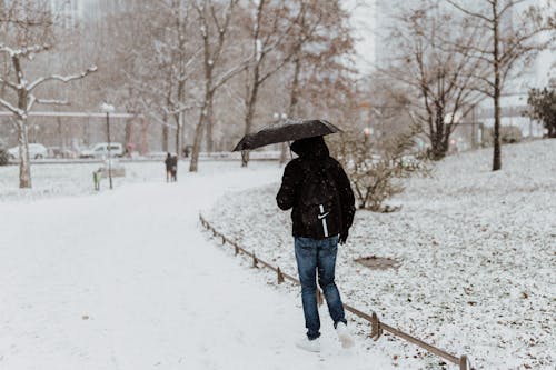 Man Walking with Umbrella in a Park During Winter 